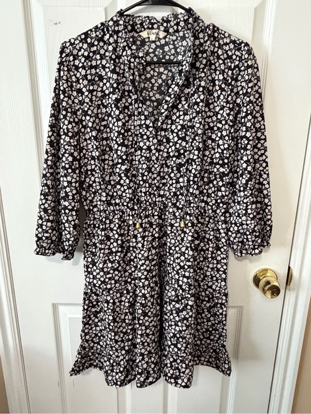 Blush Black Floral Long-Sleeve Drawstring Waist Dress